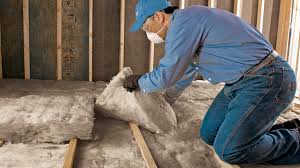 Types of Insulation We Offer in Pine Lakes, FL